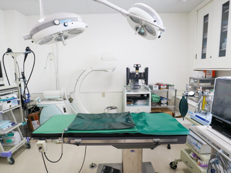 てらやま動物病院