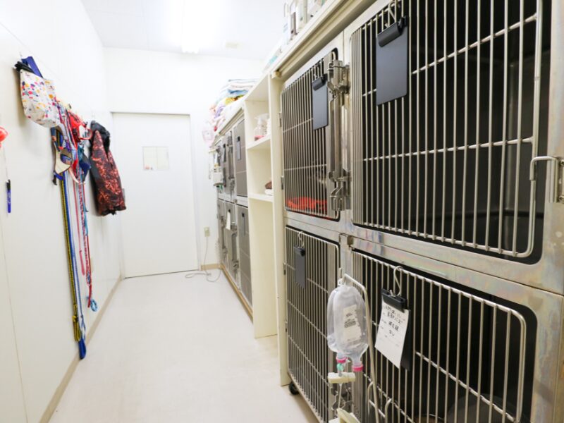 てらやま動物病院