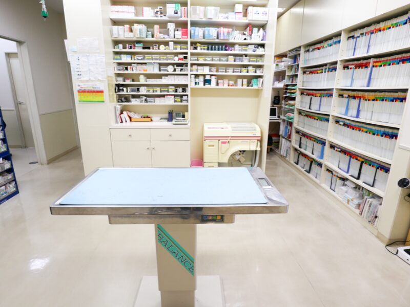 てらやま動物病院