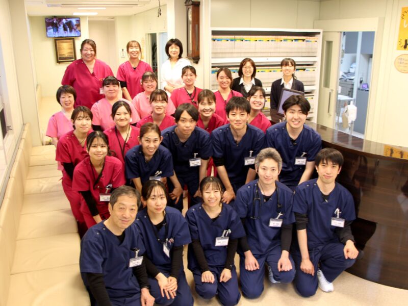 市原・山口動物病院