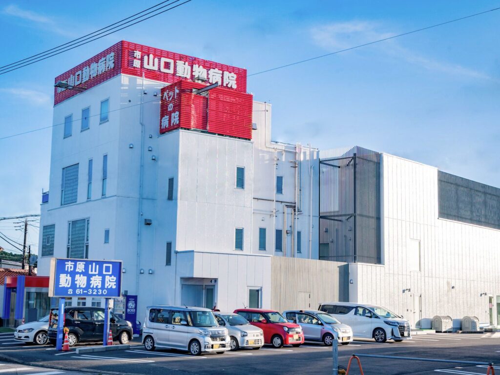 市原・山口動物病院