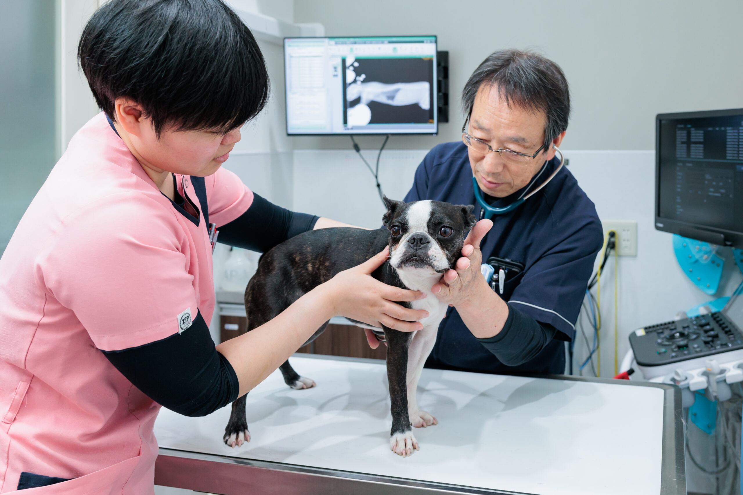 倉敷動物愛護病院photo