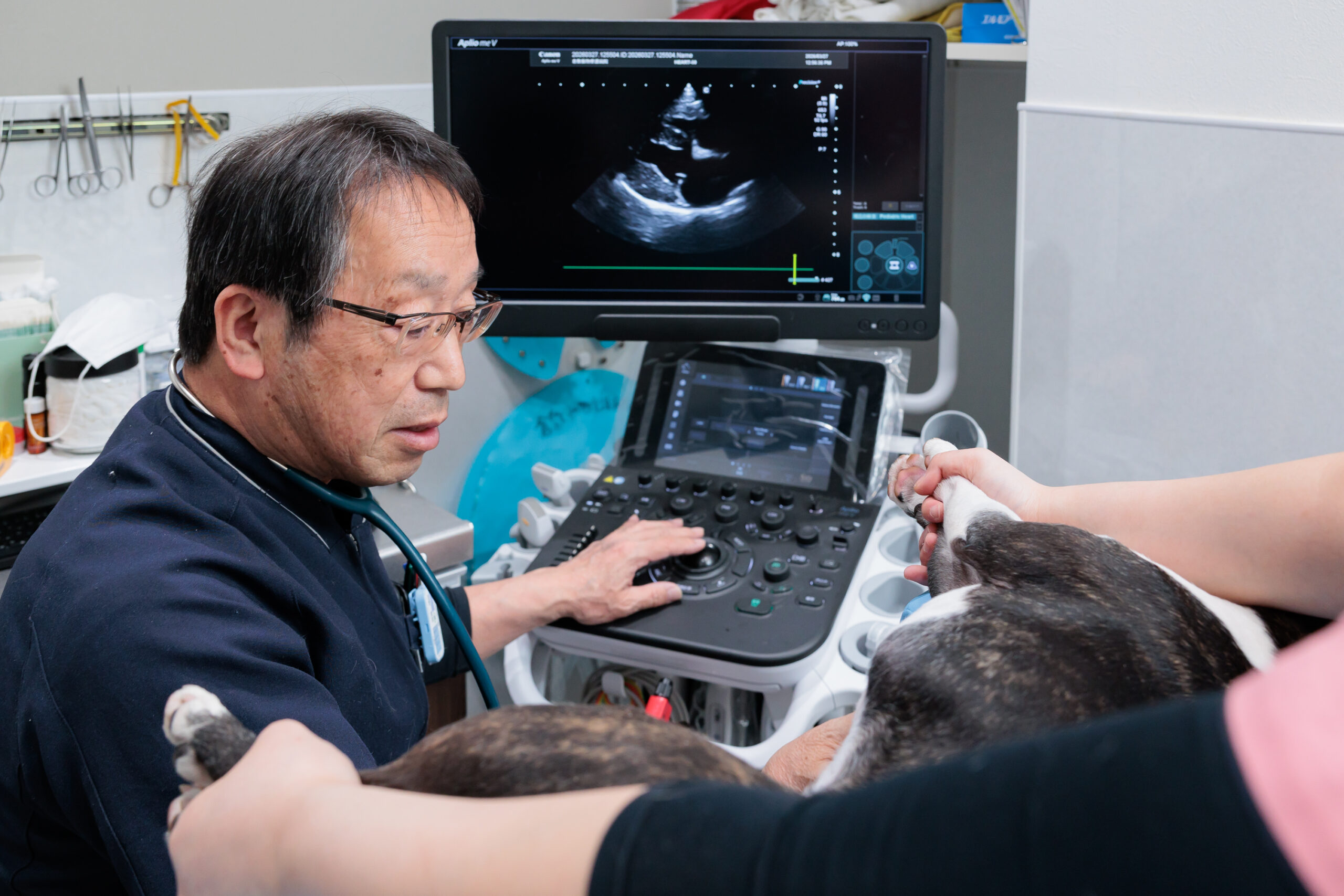 倉敷動物愛護病院photo