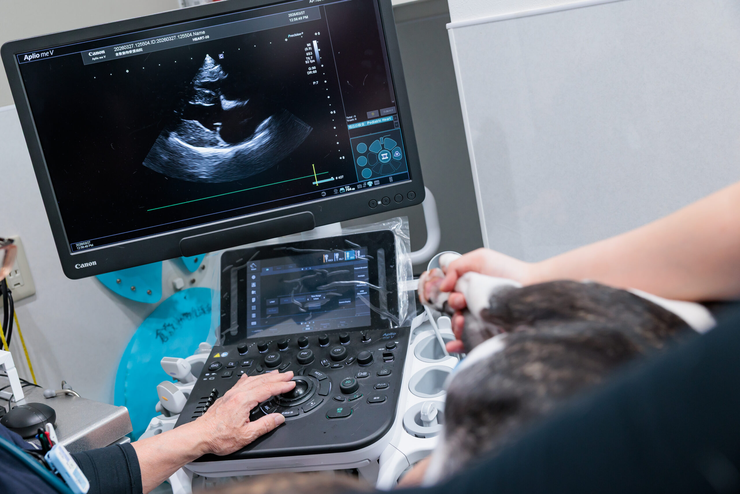 倉敷動物愛護病院photo