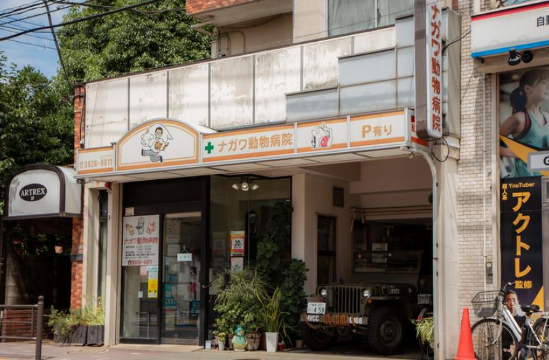 ナガワ動物病院