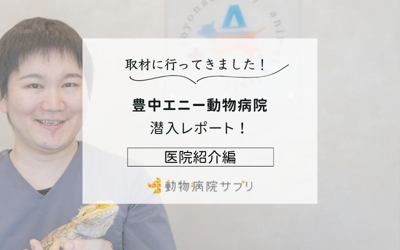 豊中エニー動物病院photo