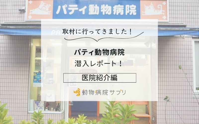 パティ動物病院photo