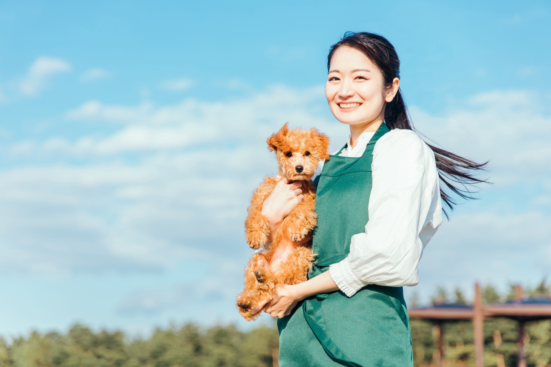 愛犬と遊ぶ女性