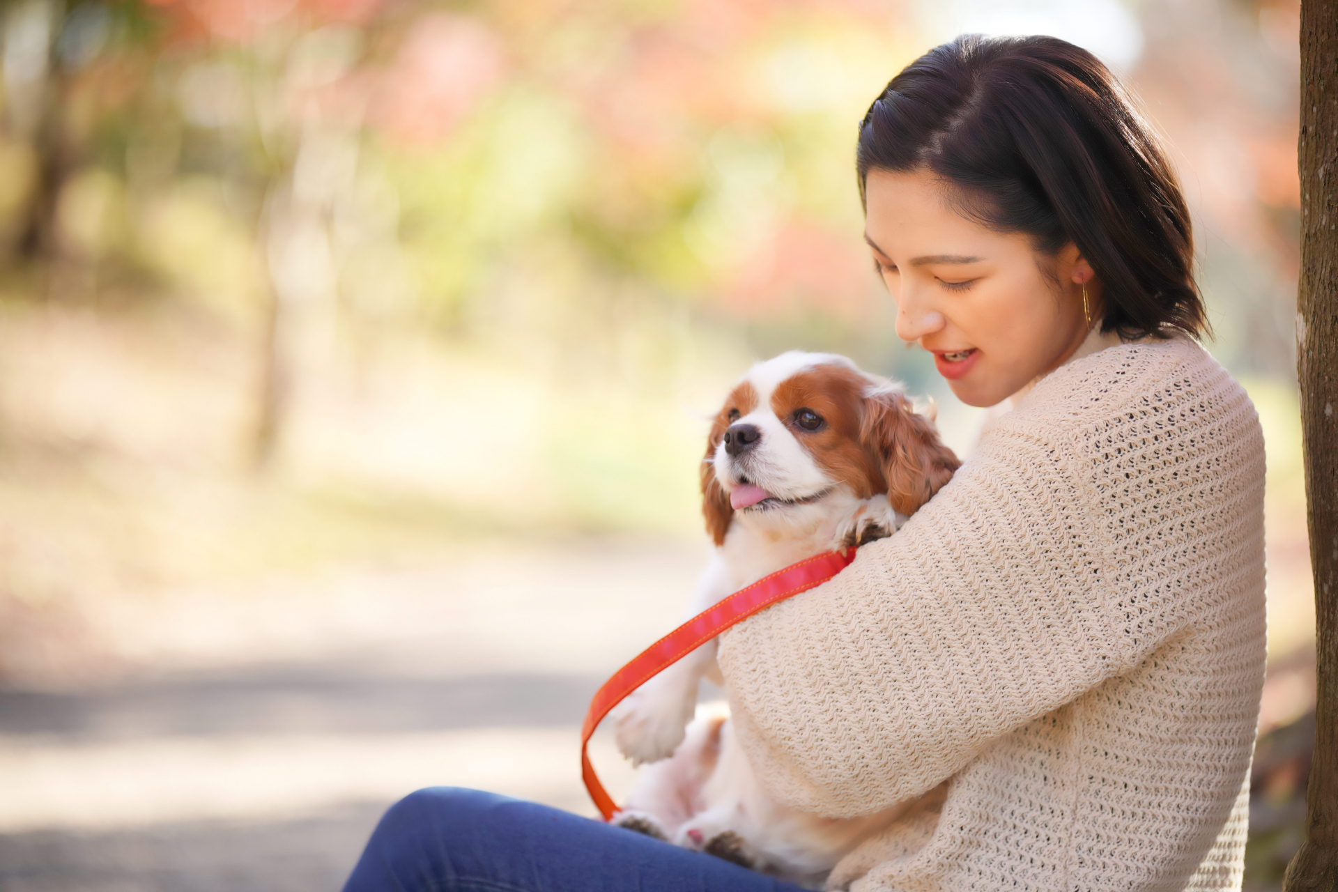 犬を見つめる女性