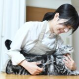 老猫はトリミングに連れていくべき？サロンの選び方や自宅での対応方法も解説