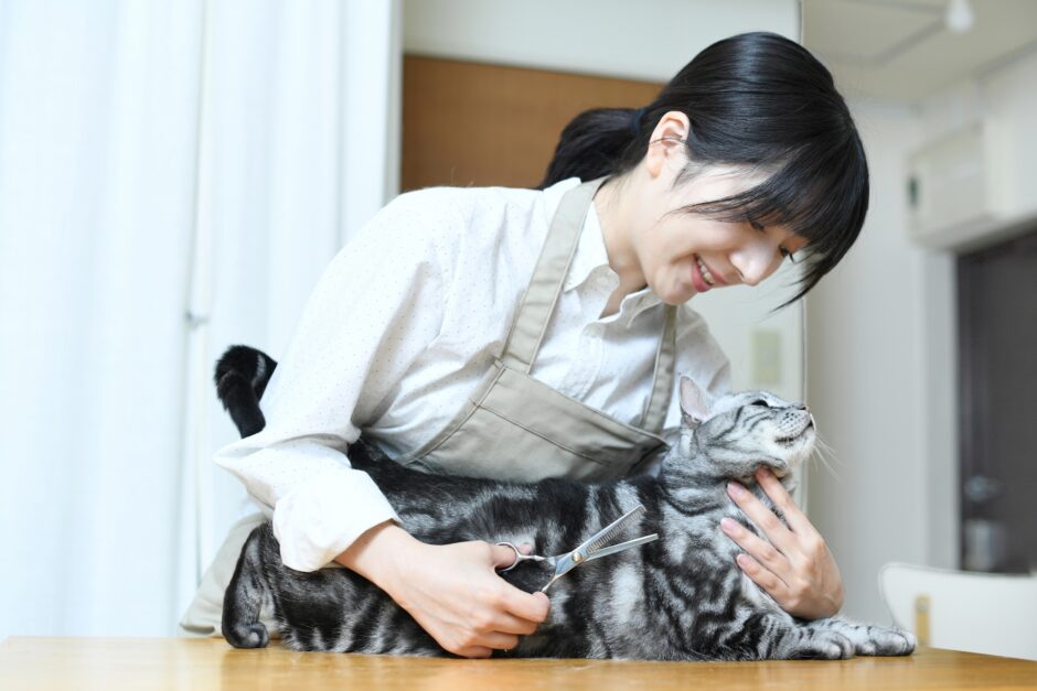 猫の毛並みをハサミで整えるトリマーの女性