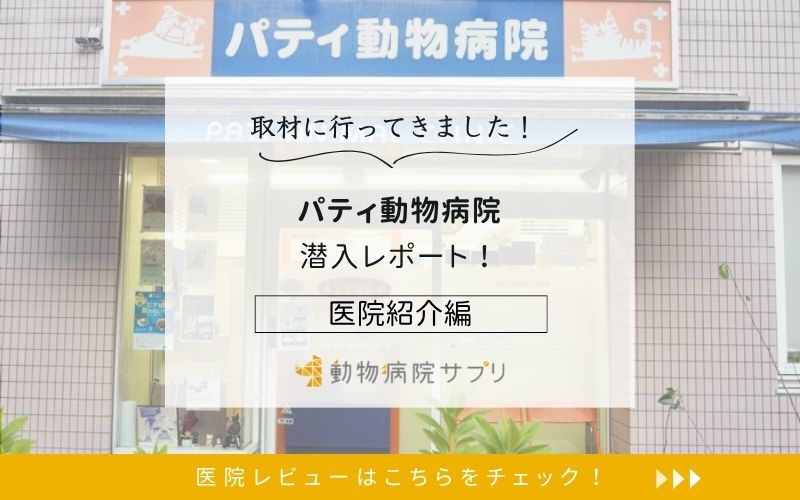 パティ動物病院