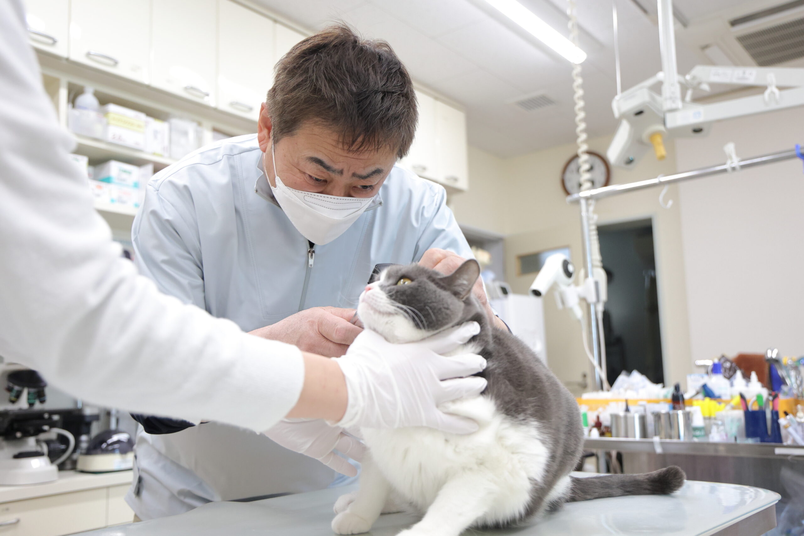 原動物病院photo