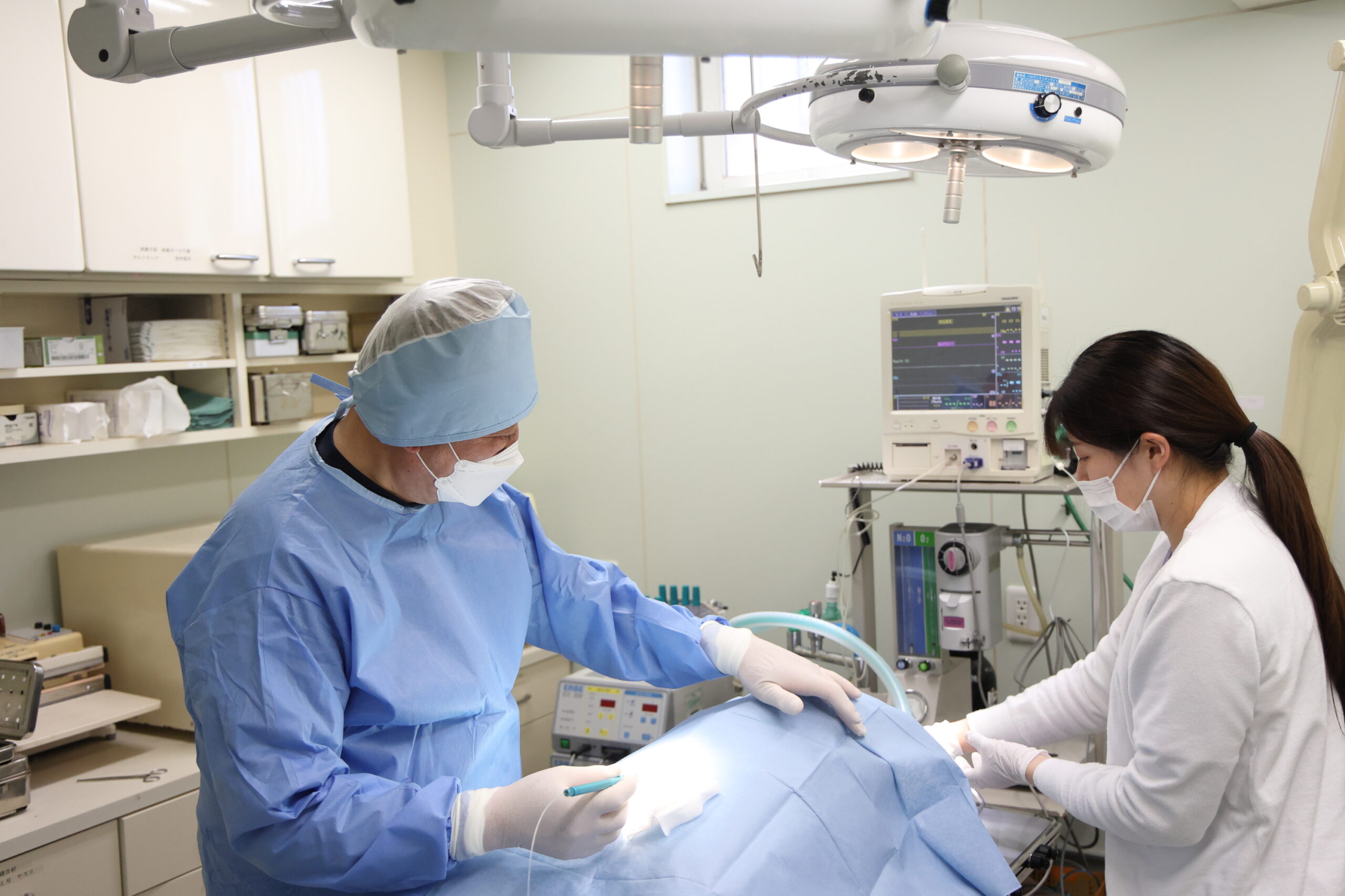 原動物病院photo