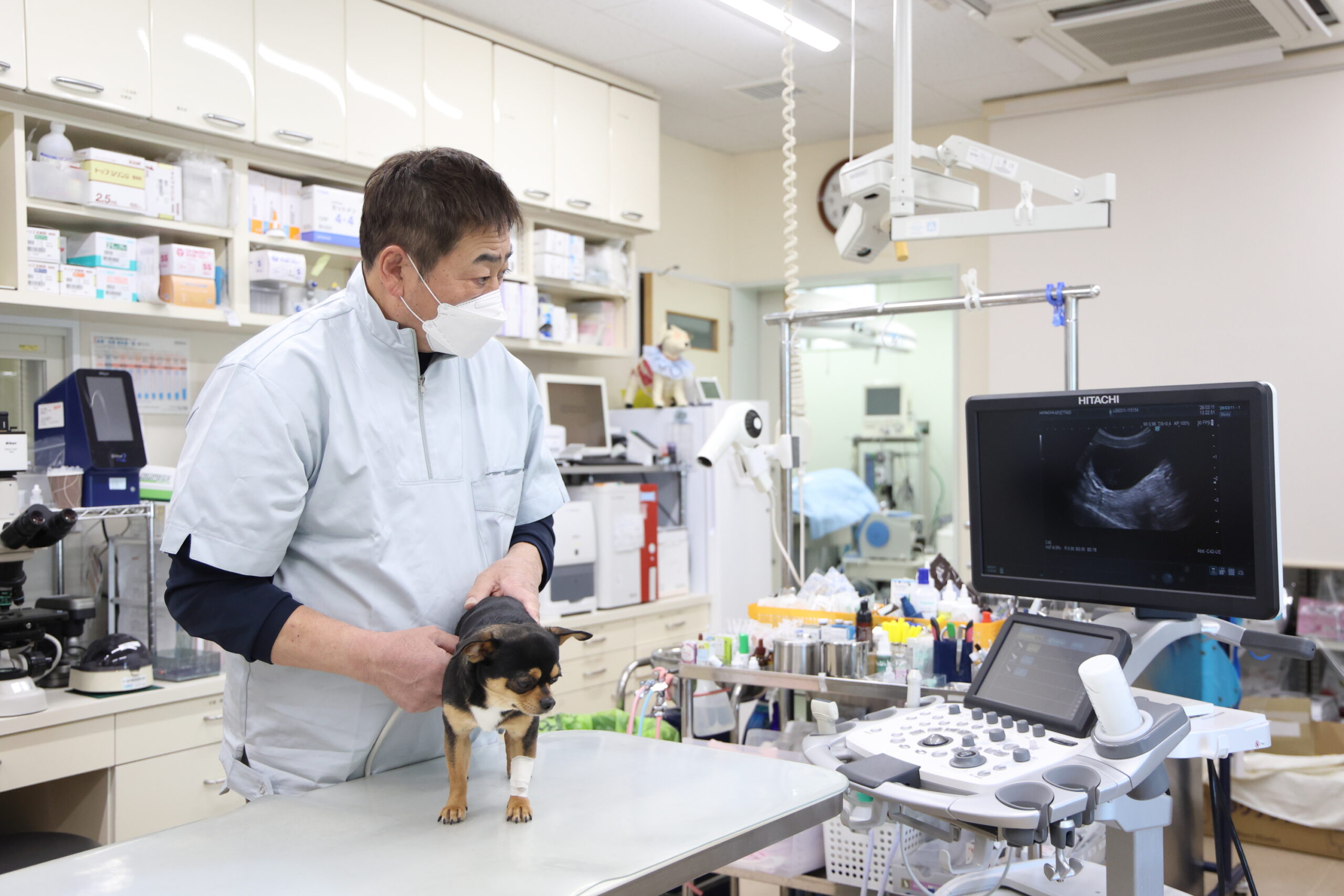 原動物病院photo