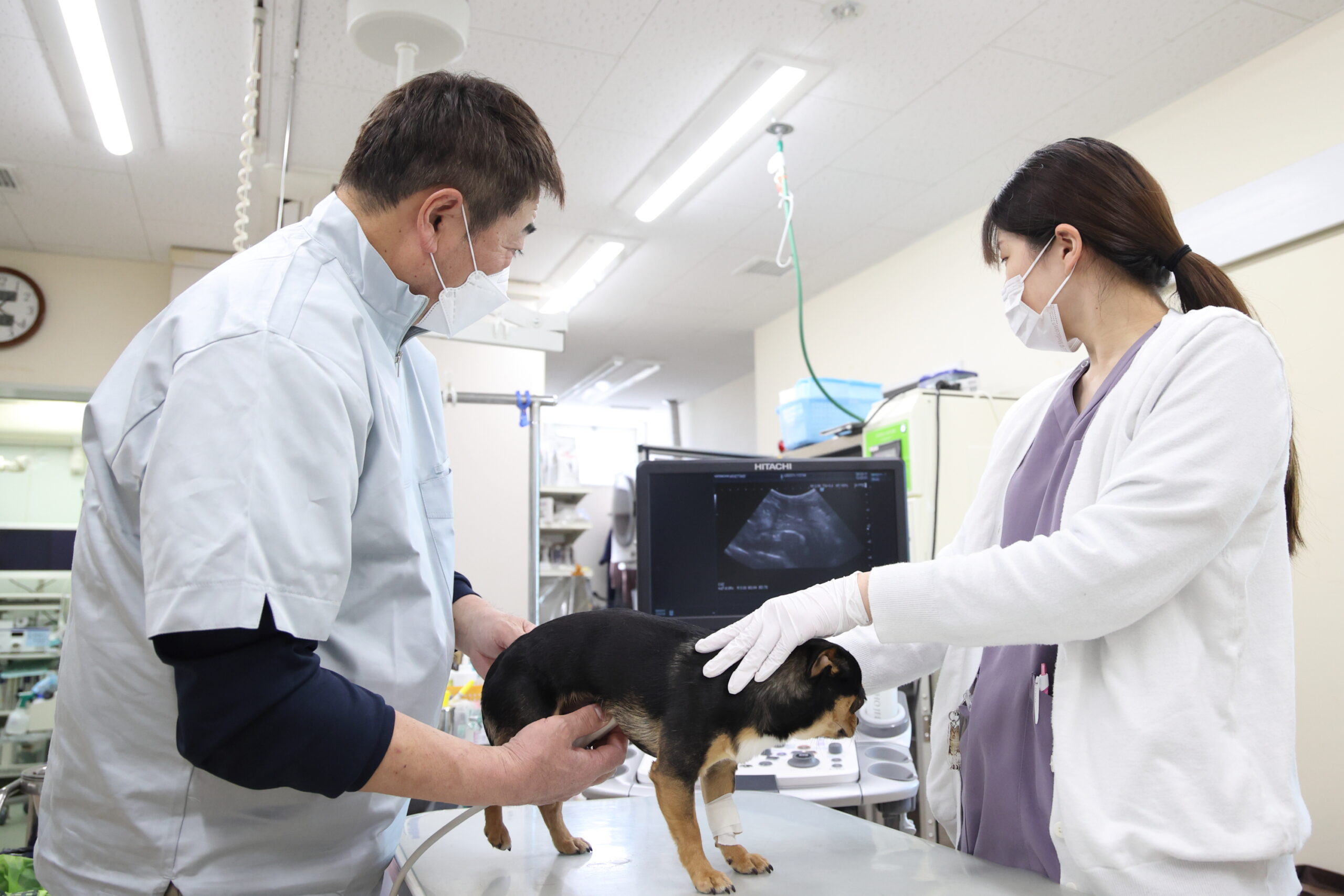 原動物病院photo