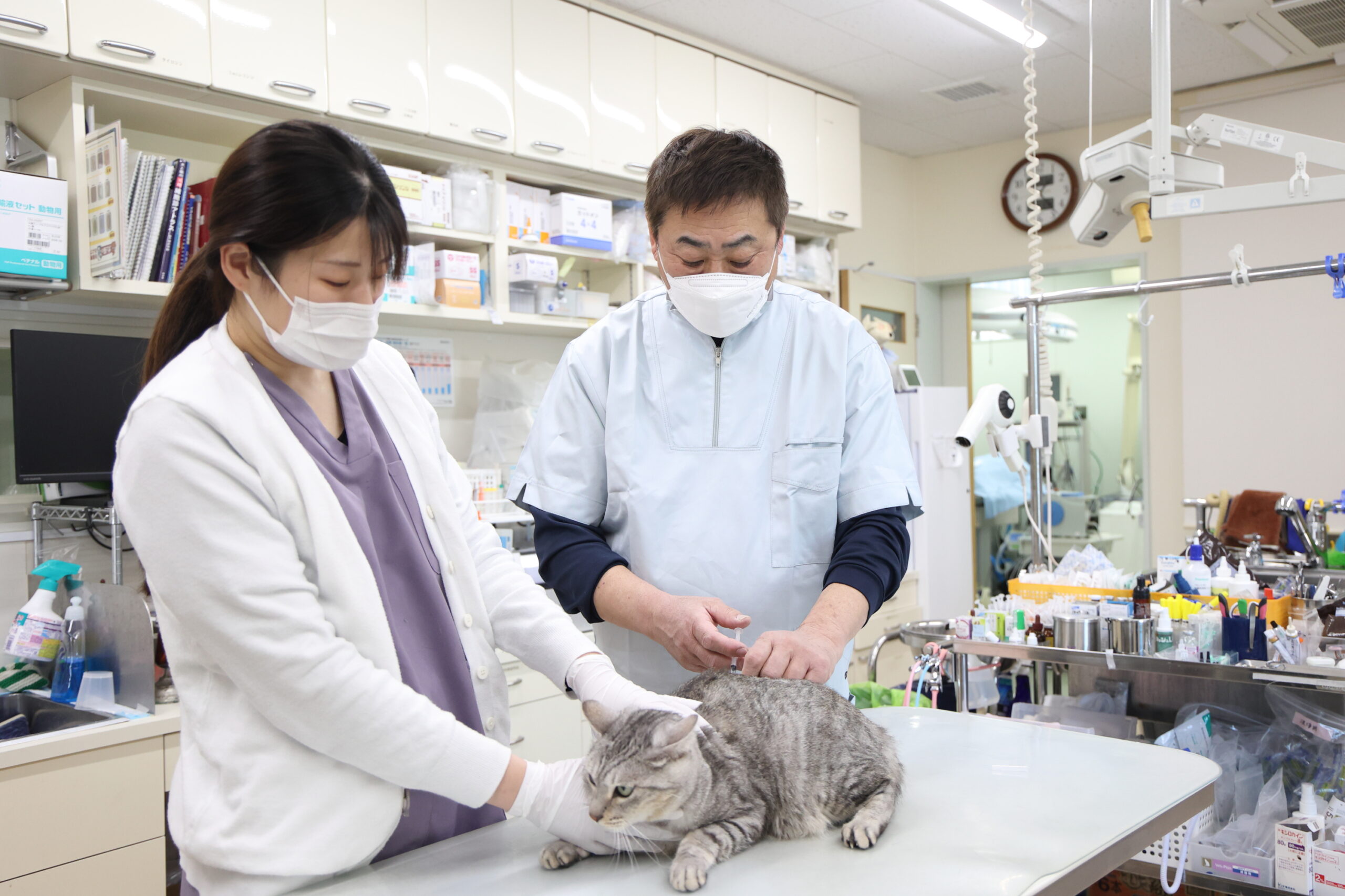 原動物病院photo