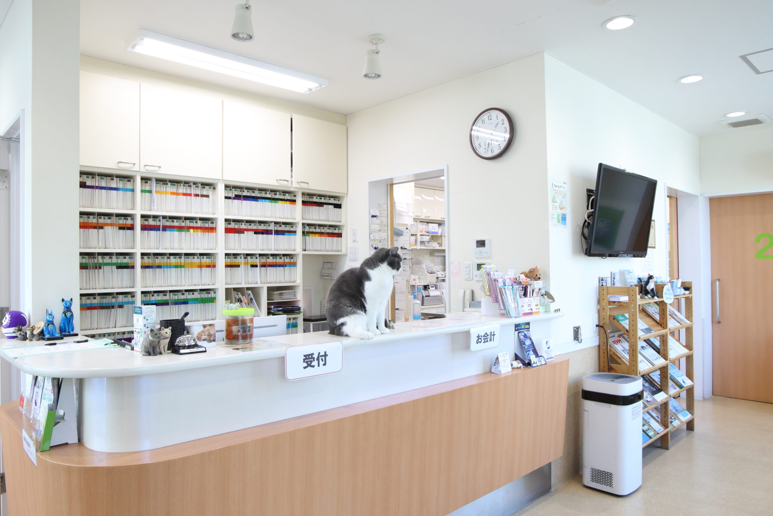 原動物病院photo