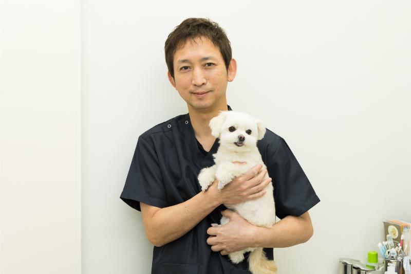 町屋動物病院