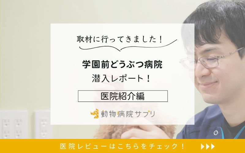 学園前どうぶつ病院