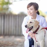 犬の肥満細胞腫ってどのような病気？グレードや診断方法、治療法について解説