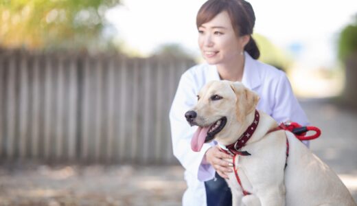 犬の肥満細胞腫ってどのような病気？グレードや診断方法、治療法について解説