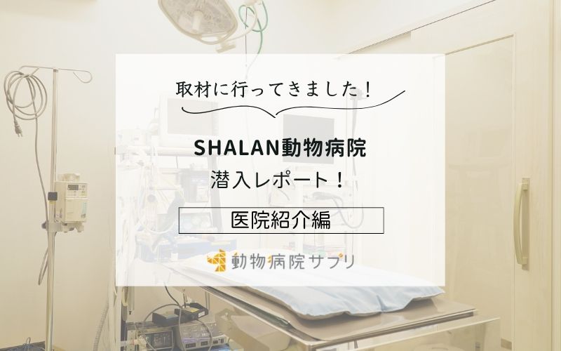 SHALAN動物病院photo