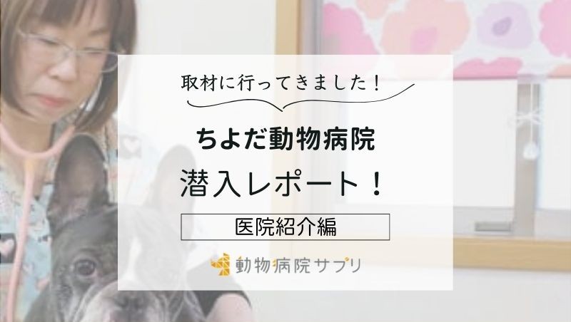 ちよだ動物病院photo