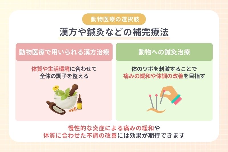 動物医療の選択肢|漢方や鍼灸などの補完療法