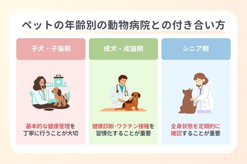 ペットの年齢別の動物病院との付き合い方