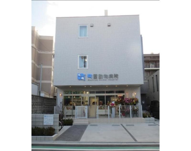 町屋動物病院
