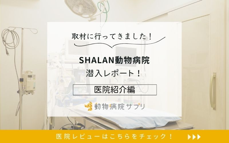 SHALAN動物病院