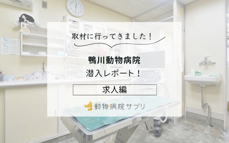 鴨川動物病院photo
