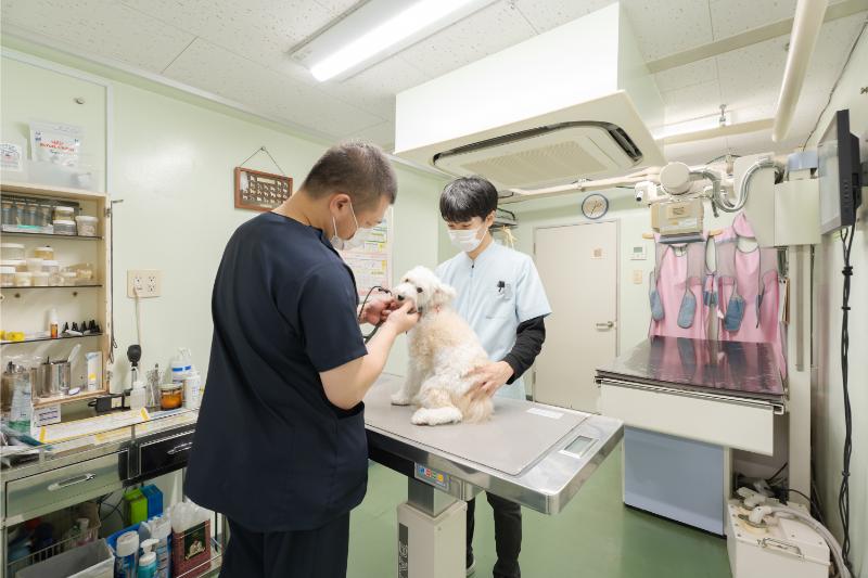 ドクターオザワ動物病院