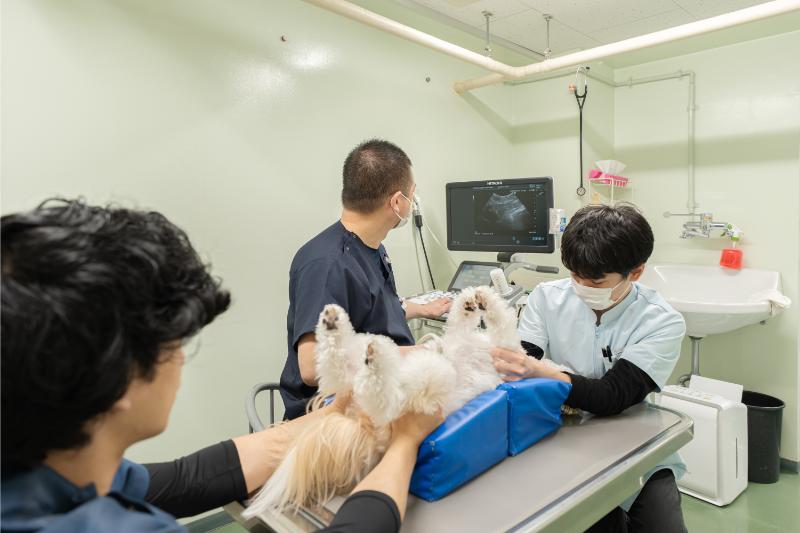ドクターオザワ動物病院