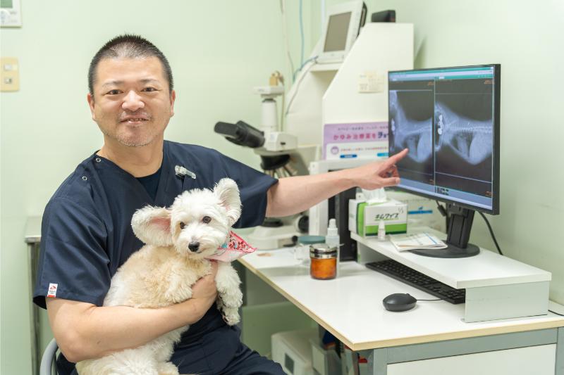ドクターオザワ動物病院