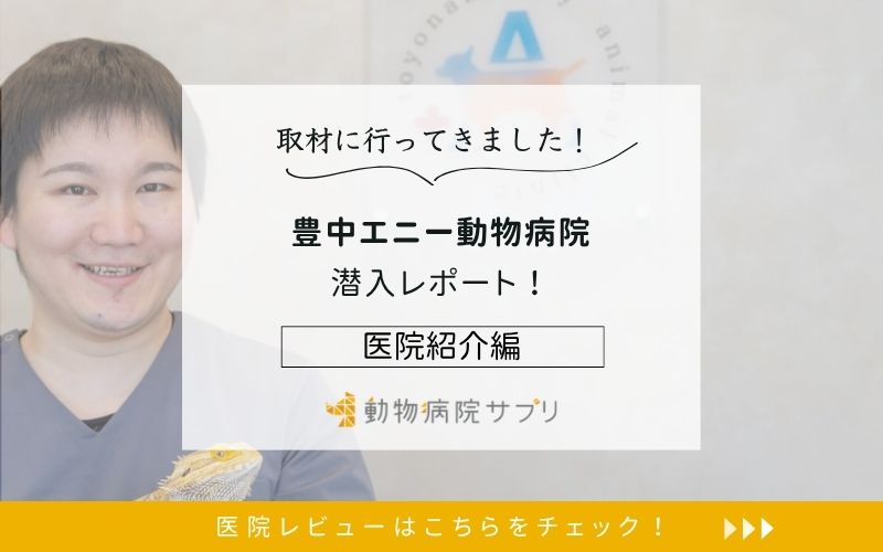 豊中エニー動物病院