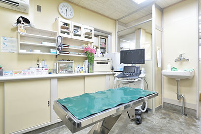 鴨川動物病院photo