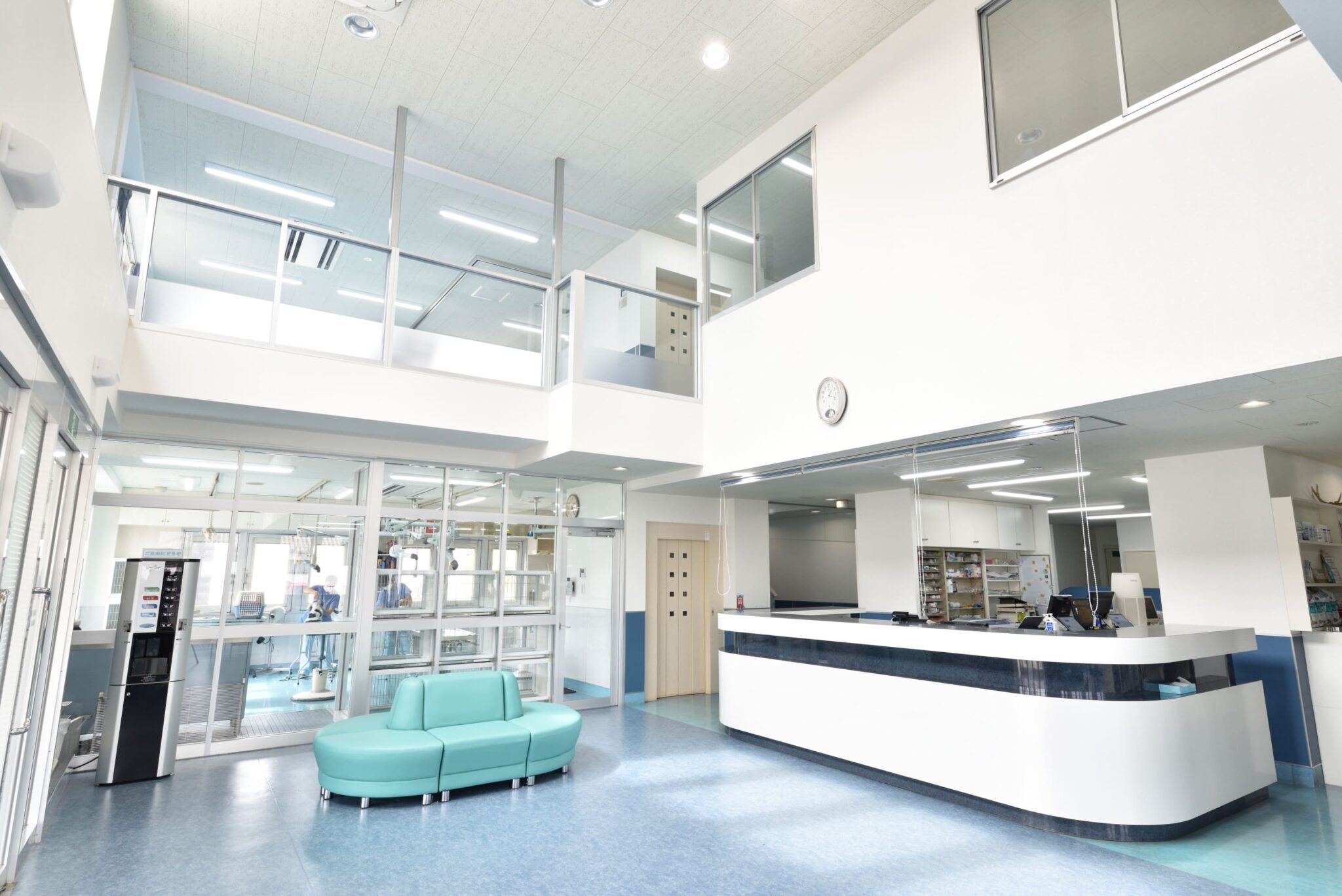 南子安動物病院