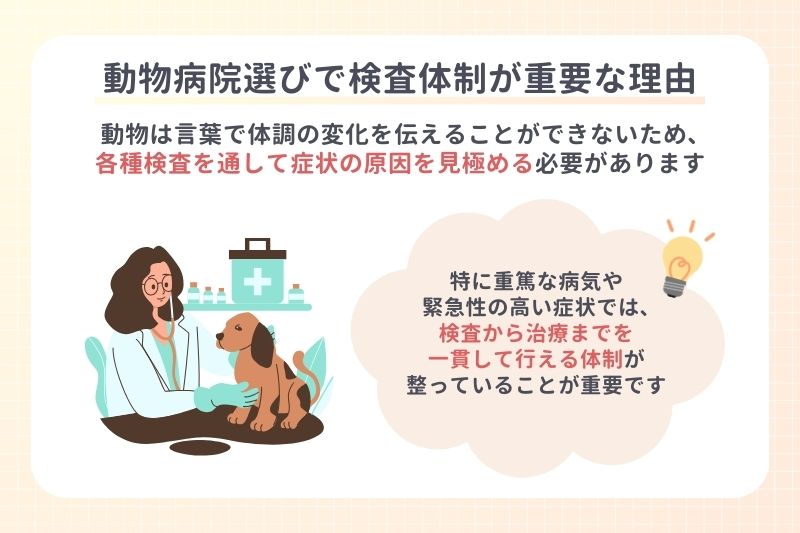 動物病院選びで検査体制が重要な理由