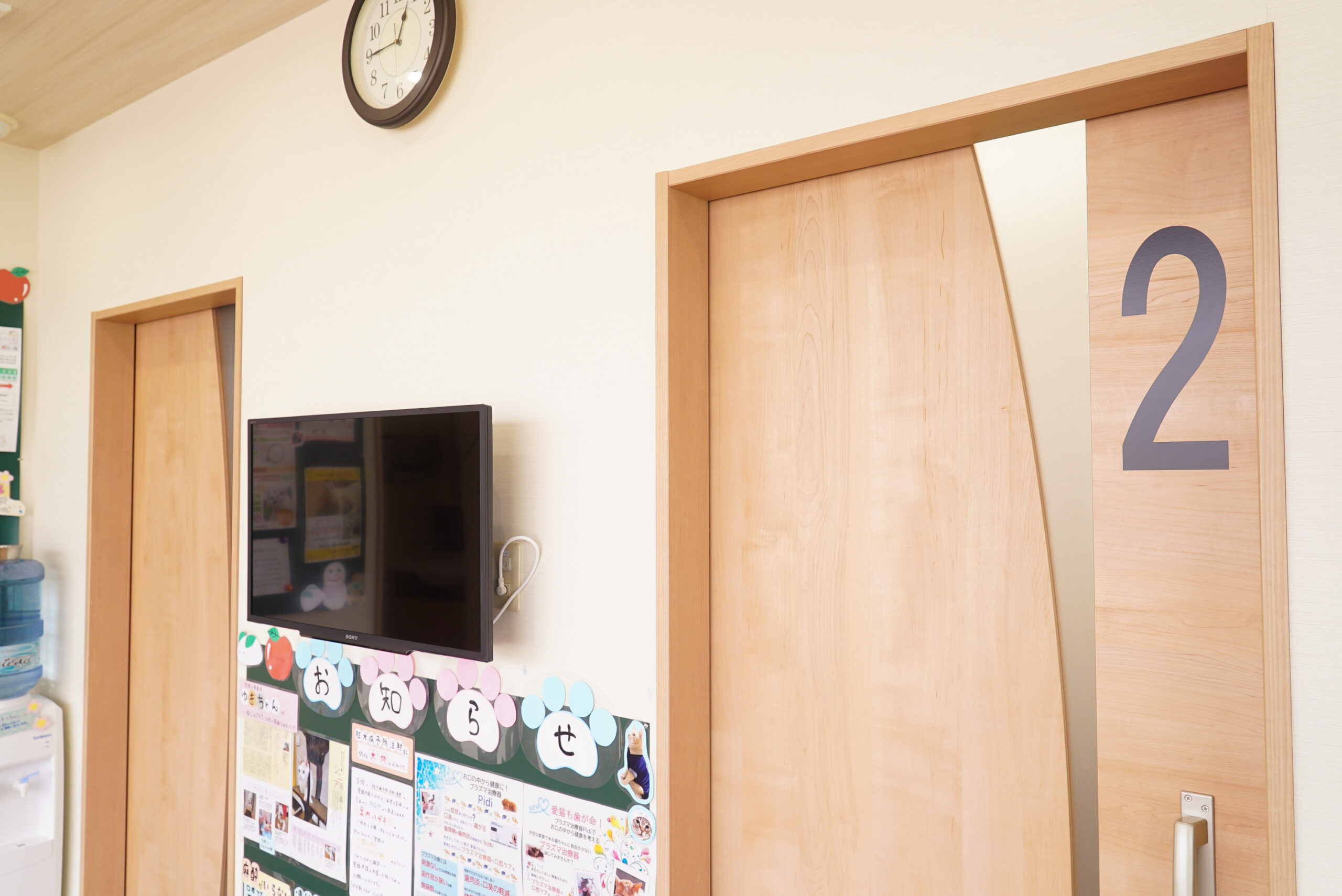 SHALAN動物病院photo