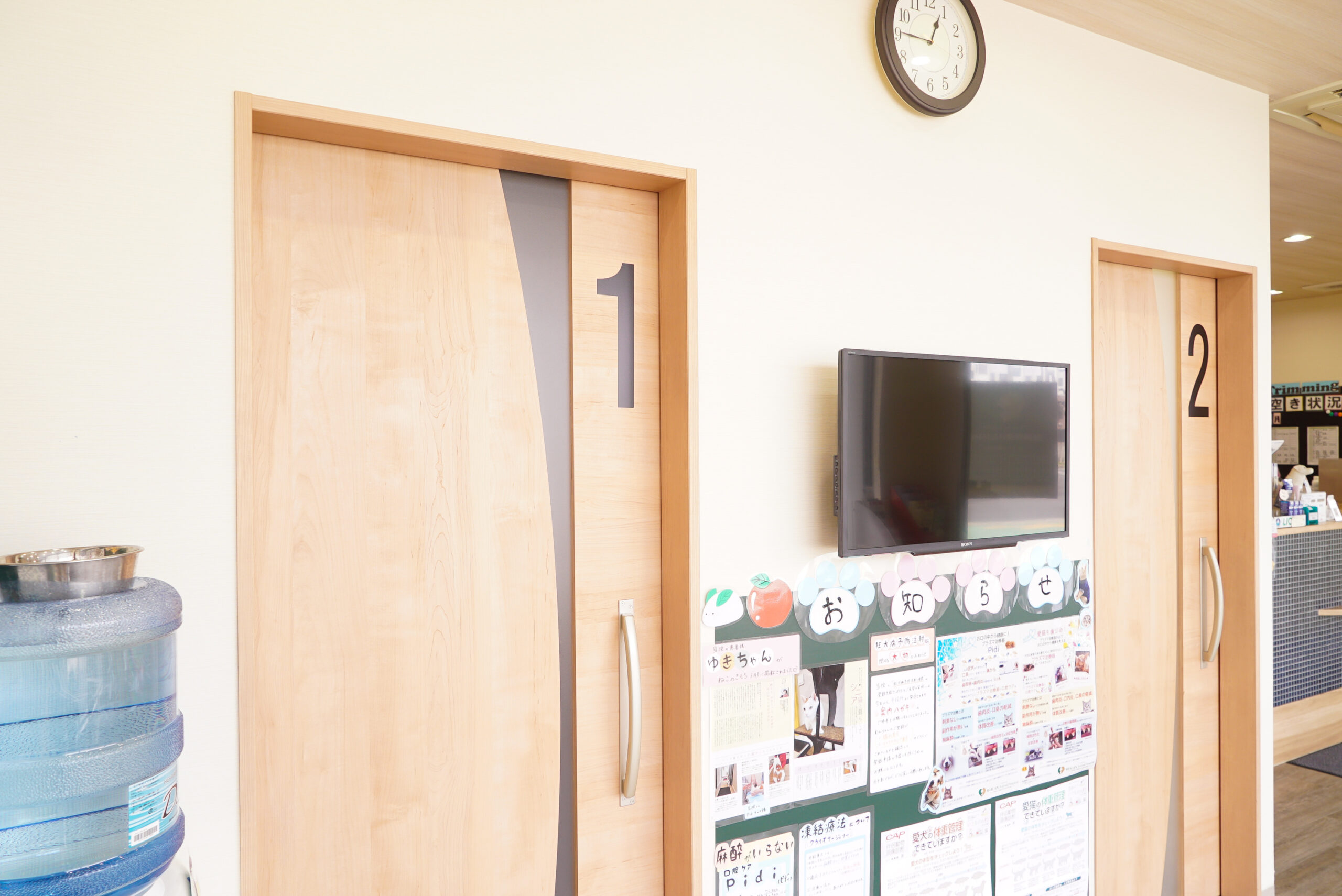 SHALAN動物病院photo