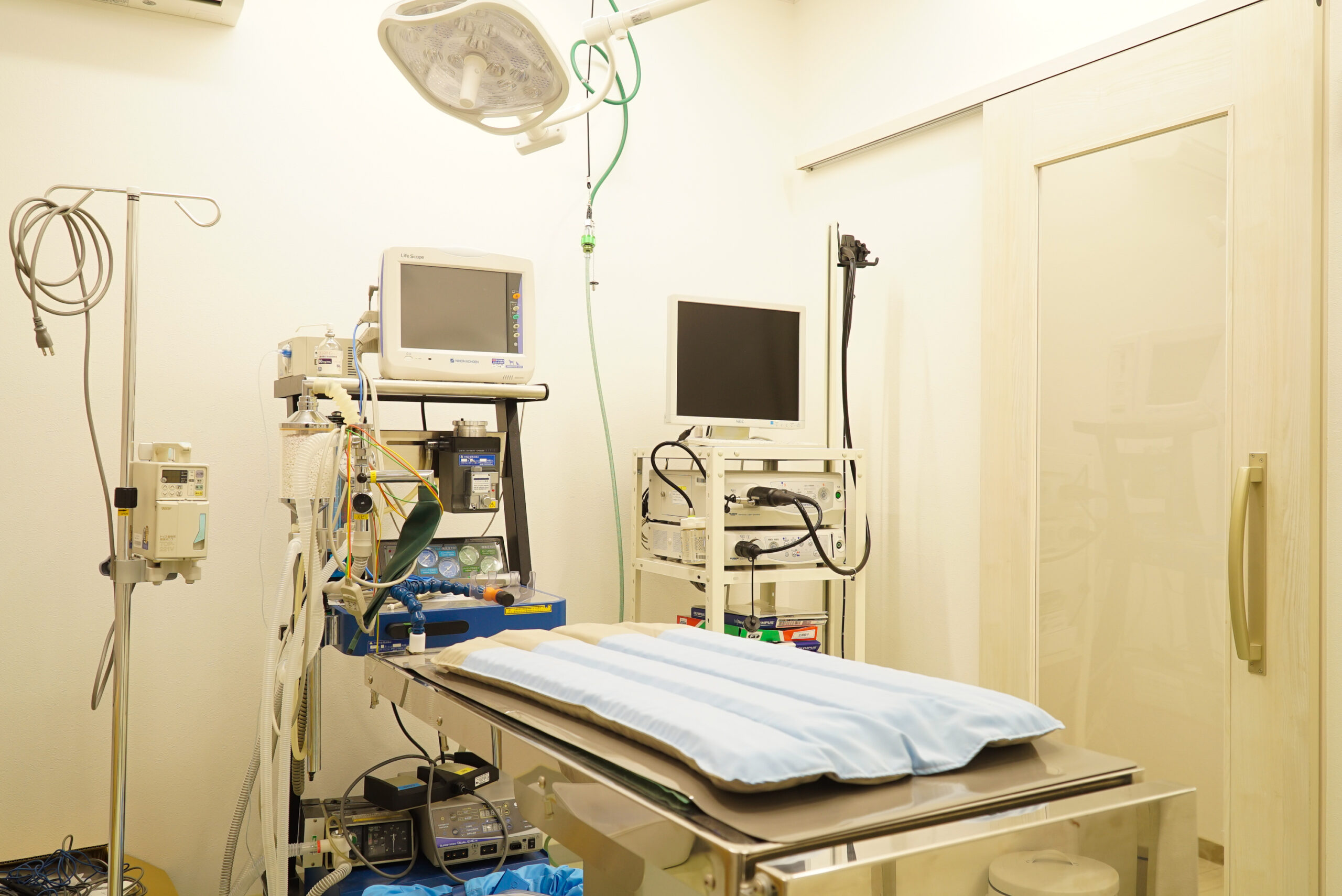 SHALAN動物病院photo