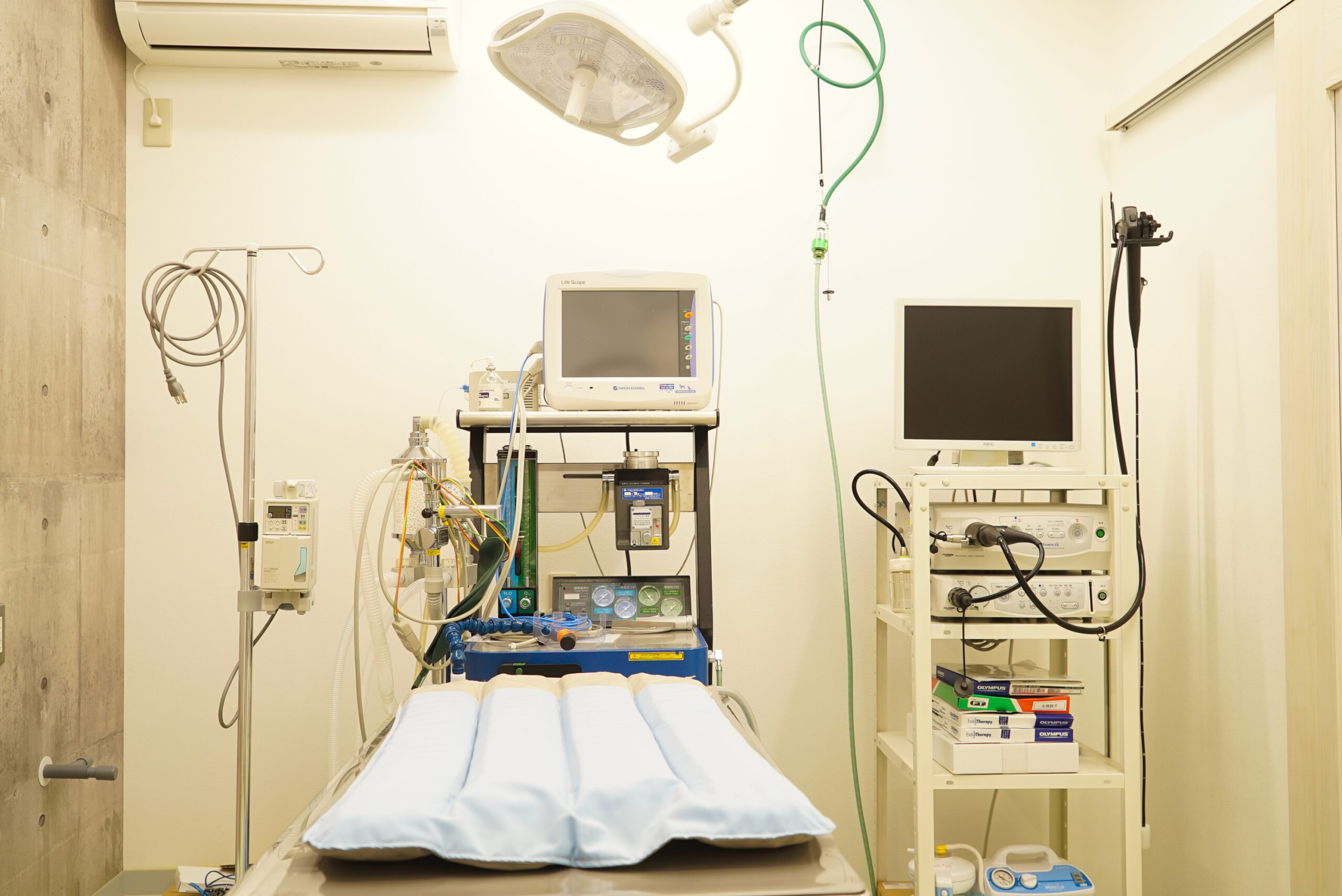 SHALAN動物病院photo