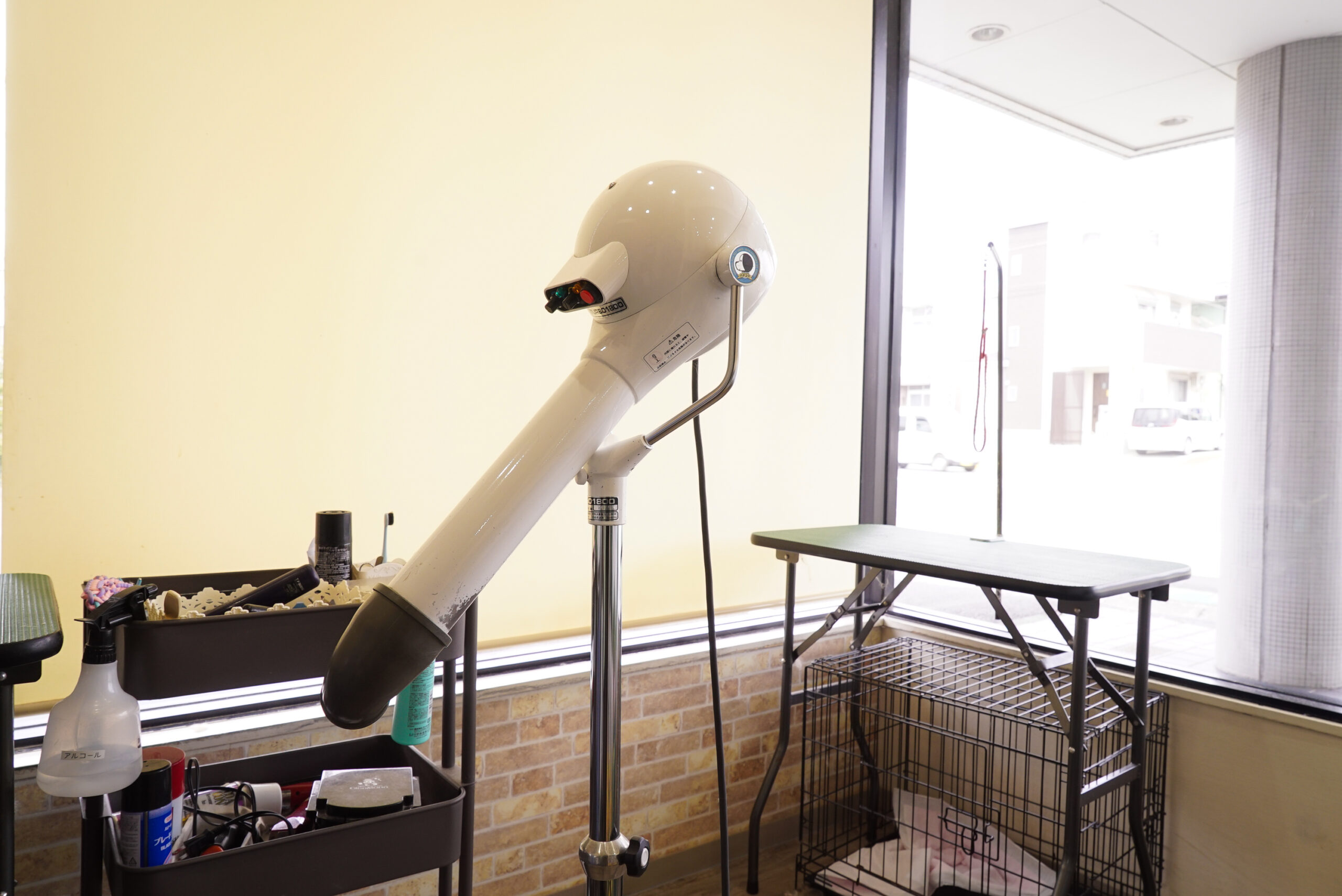 SHALAN動物病院photo