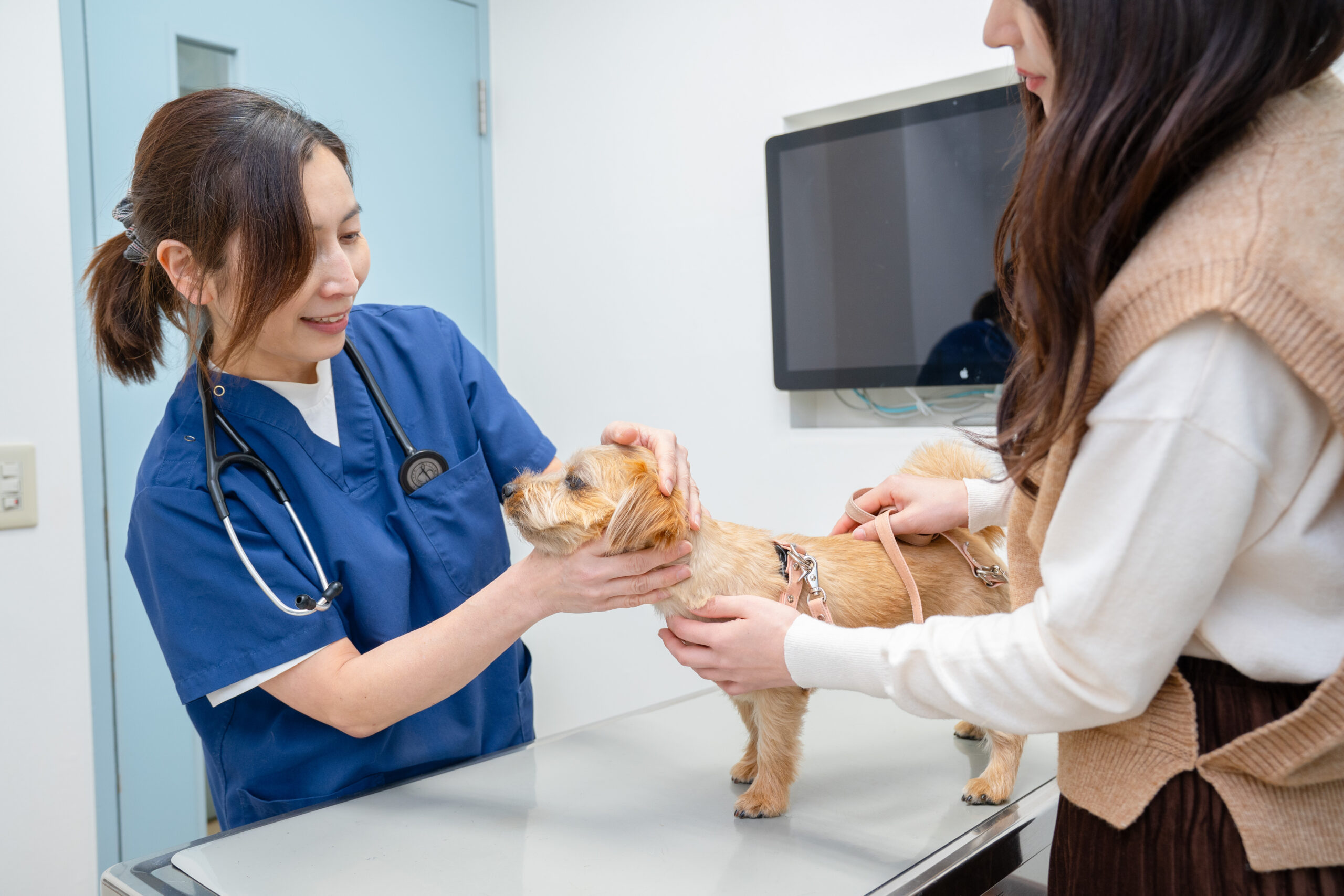 つつじヶ丘動物病院photo