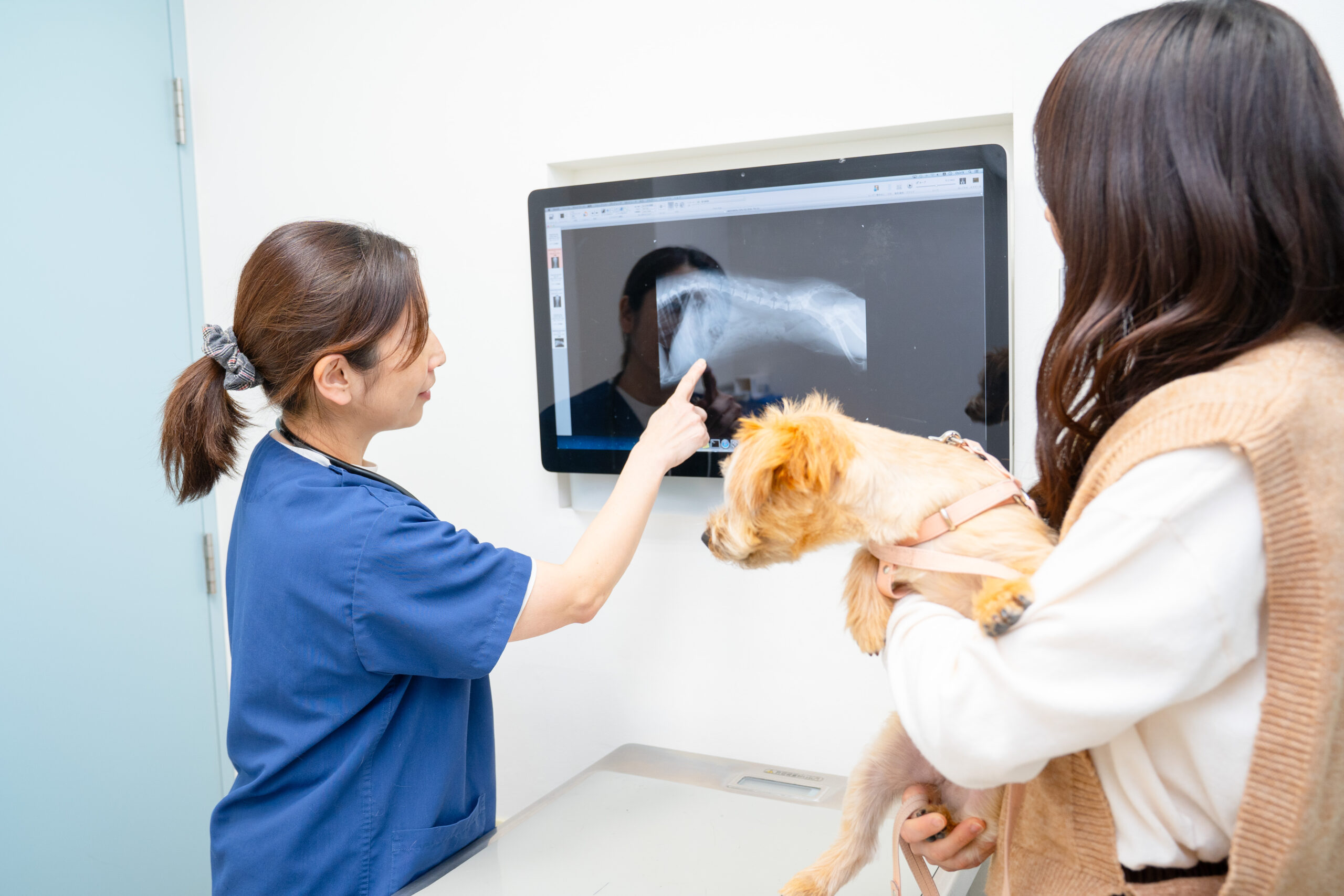 つつじヶ丘動物病院photo