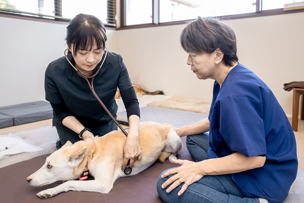 学園の森訪問診療アニマルクリニック