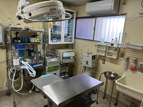 鴨川動物病院photo