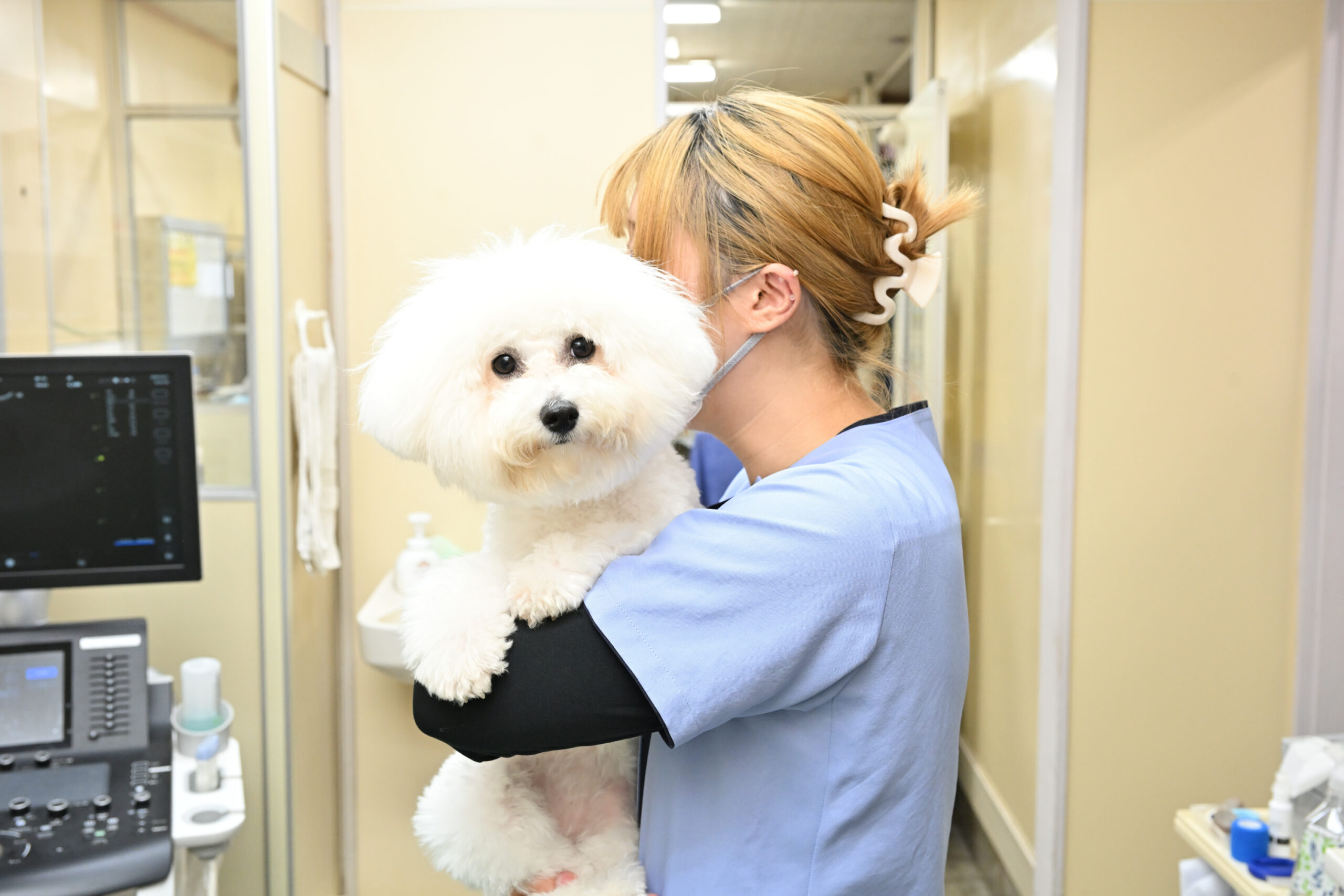 鴨川動物病院photo